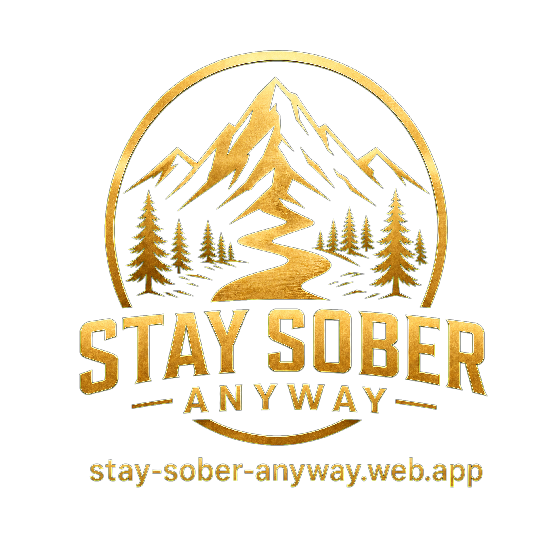Stay Sober Anyway